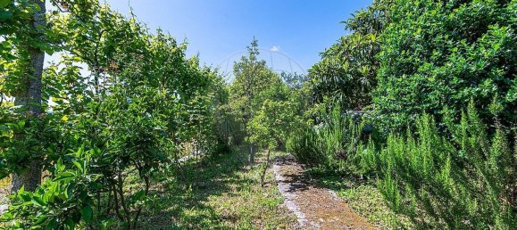 4 Schlafzimmer Haus in Covide, Portugal, Nr. 165909 17