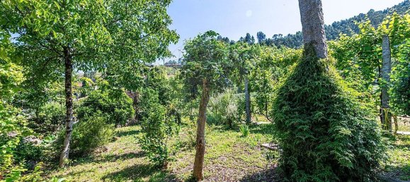 4 Schlafzimmer Haus in Covide, Portugal, Nr. 165909 16