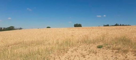 Terreno em Simancas, Spain 95120 m² N.º 90975 2