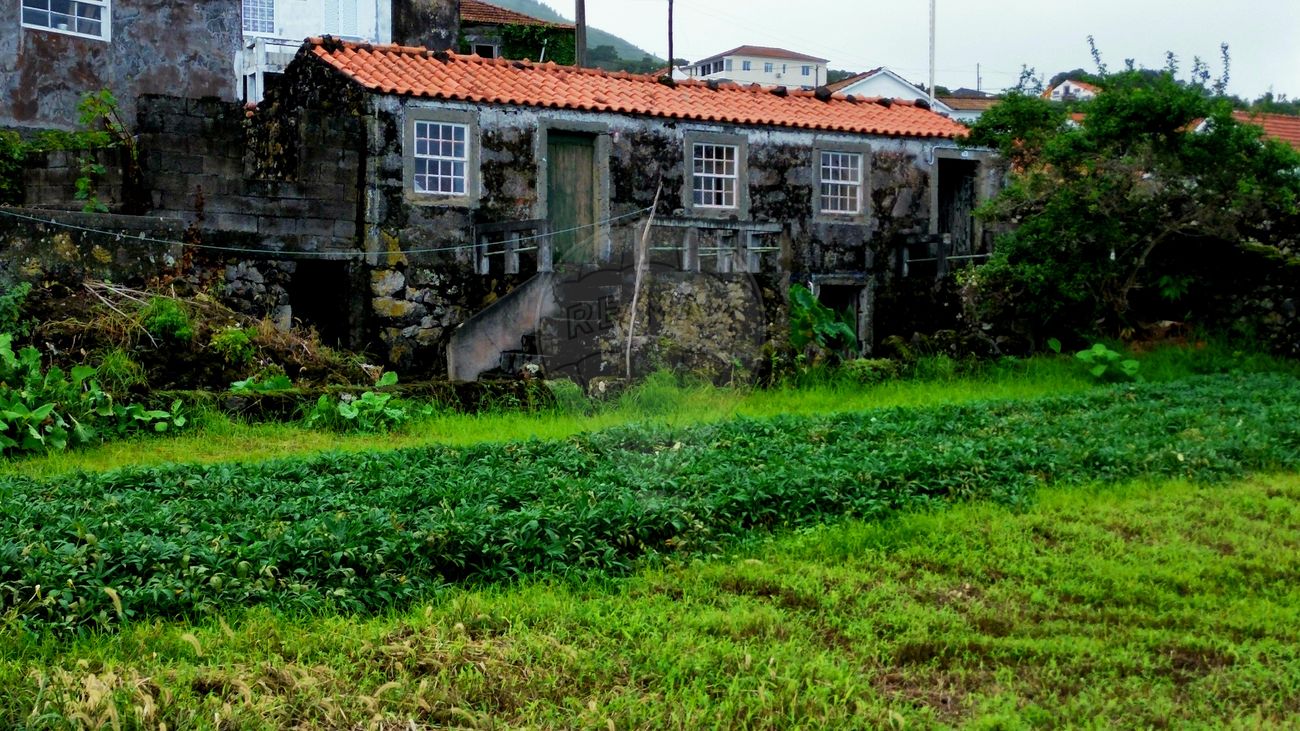 1 bedroom House in Lajes do Pico, Portugal No. 36569