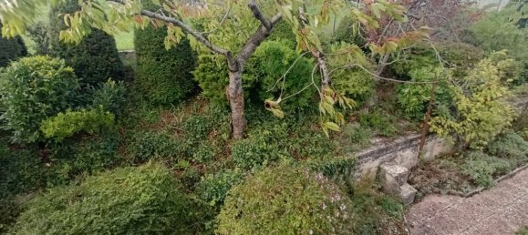 8 rooms House in Pettoranello del Molise, Italy No. 78703 7