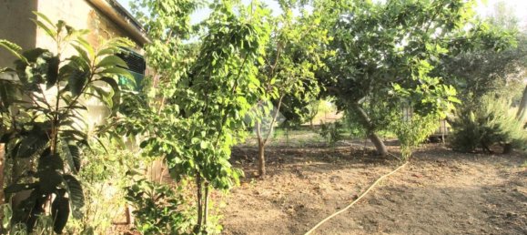 4غرفة منزل في Isola di Capo Rizzuto, Italy رقم 304337 33