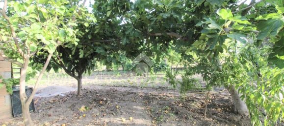 4غرفة منزل في Isola di Capo Rizzuto, Italy رقم 304337 32