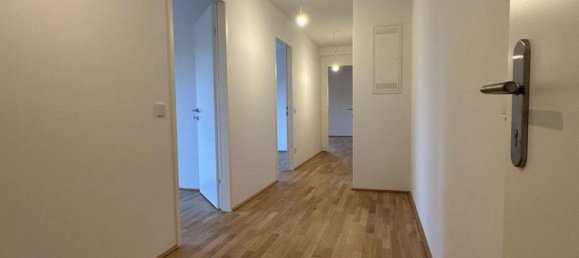 3-Zimmer Wohnung in Ebreichsdorf, Austria, Nr. 247416 6