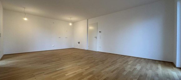 3-Zimmer Wohnung in Ebreichsdorf, Austria, Nr. 247416 2