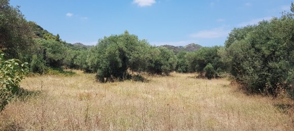 20000m² Hotel in Chalkidiki, Greece No. 4116 3