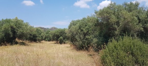 20000m² Hotel in Chalkidiki, Greece No. 4116 2