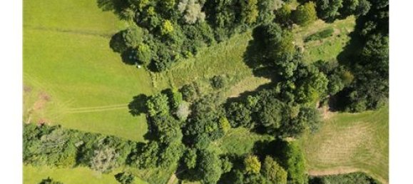 2-Zimmer Haus in Belluno, Italy, Nr. 290226 19