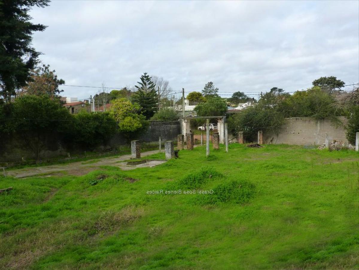  Land in Canelones, Uruguay No. 14399