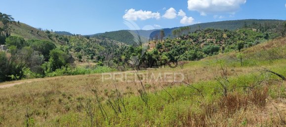 6 غرف نوم منزل في Quarteira, Portugal رقم 196608 17