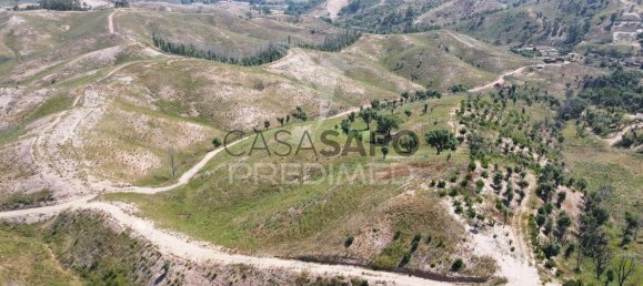 6 غرف نوم منزل في Quarteira, Portugal رقم 196608 11