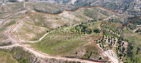 6 غرف نوم منزل في Quarteira, Portugal رقم 196608 14