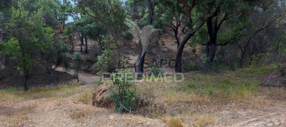 6 غرف نوم منزل في Quarteira, Portugal رقم 196608 26