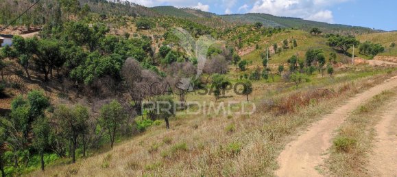 6 غرف نوم منزل في Quarteira, Portugal رقم 196608 25