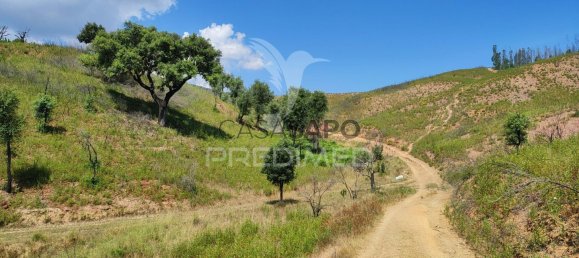 6 غرف نوم منزل في Quarteira, Portugal رقم 196608 16