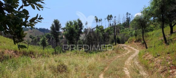 6 غرف نوم منزل في Quarteira, Portugal رقم 196608 19