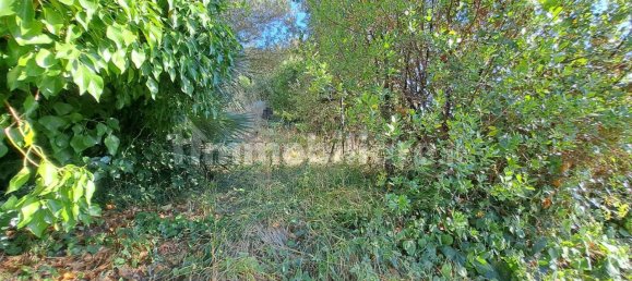 3 chambres Villa à Rosignano Marittimo, Italy No. 272984 30