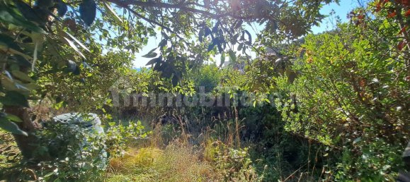 3 chambres Villa à Rosignano Marittimo, Italy No. 272984 31