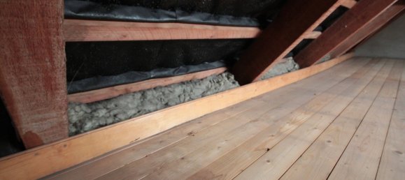 7 rooms Townhouse in Schleswig-Holstein, Germany No. 56619 33