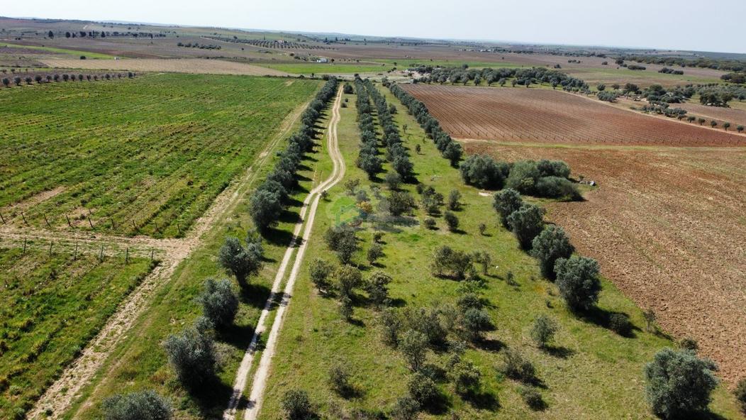 قطعة أرض في Evora, Portugal 19000متر مربع رقم 228970
