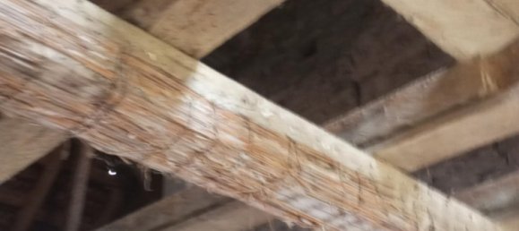 3 bedrooms House in Struth, France No. 157638 8