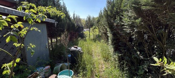 Таунхаус с 3 спальнями в Зарлуи, Германия № 228495 12