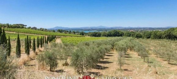 7 bedrooms House in Tuoro sul Trasimeno, Italy No. 54203 5