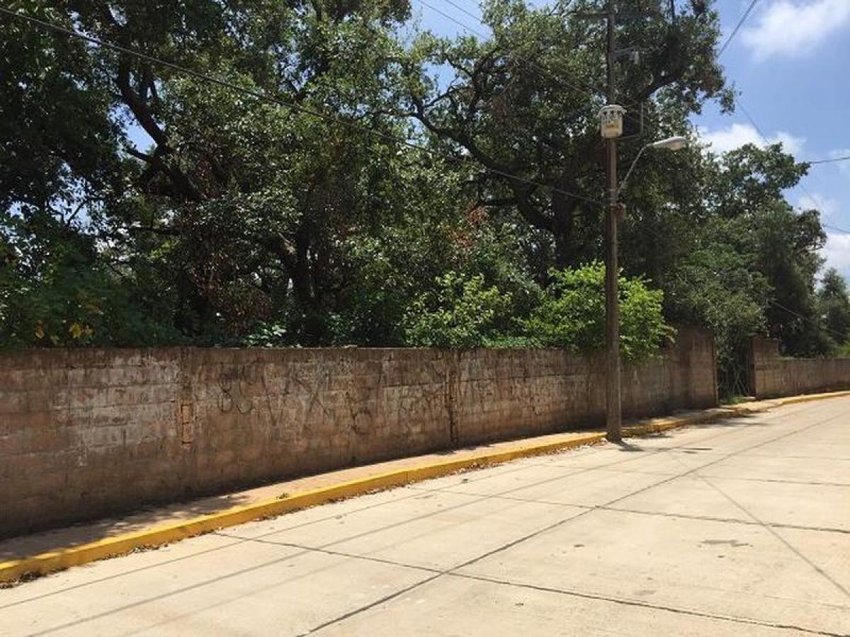  Land in Veracruz, Mexico No. 202754