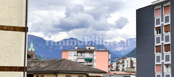 3 bedrooms Apartment in Trentino-Alto Adige, Italy No. 294767 15