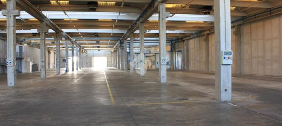 5763m² Warehouse in Luzzara, Italy No. 60483 28