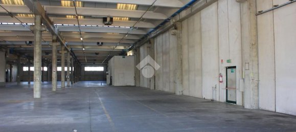 5763m² Warehouse in Luzzara, Italy No. 60483 3