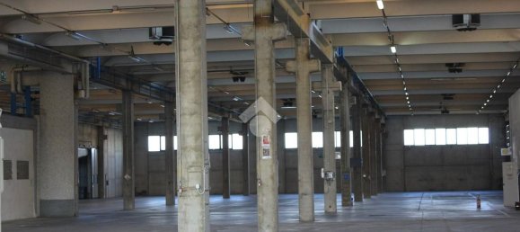 5763m² Warehouse in Luzzara, Italy No. 60483 4