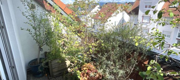 Дуплекс с 2 спальнями в Мангейм, Германия № 39732 7