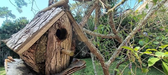 3 bedrooms House in Colares, Portugal No. 51534 11