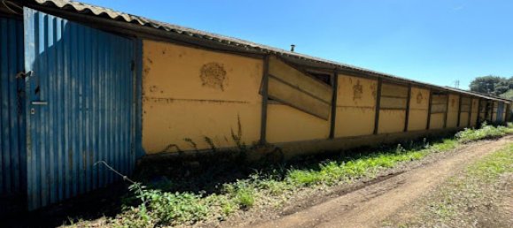 Casa de 9 dormitorios en Palau-Solita I Plegamans, Spain No. 142352 21