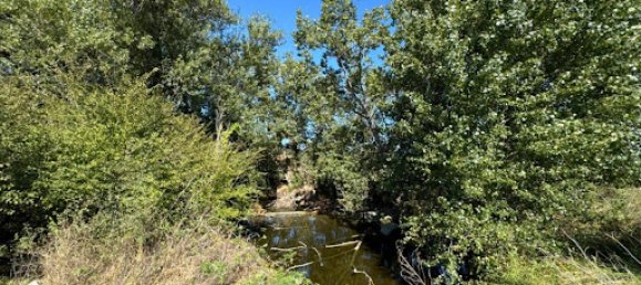 Casa de 9 dormitorios en Palau-Solita I Plegamans, Spain No. 142352 26