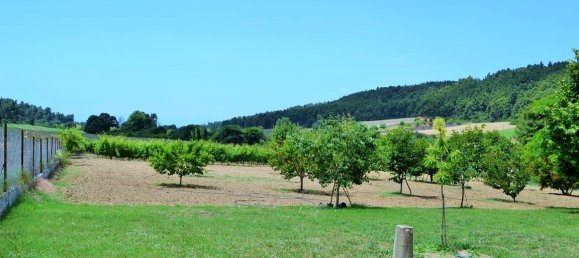 3 bedrooms Commercial property in Chalkidiki, Greece No. 5683 18