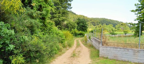 3 bedrooms Commercial property in Chalkidiki, Greece No. 5683 20