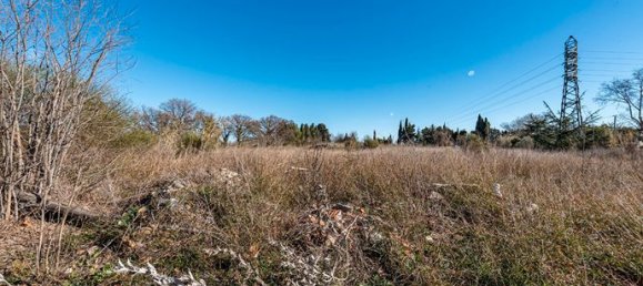 Terreno en Perpignan, France 7438 m² No. 105973 4