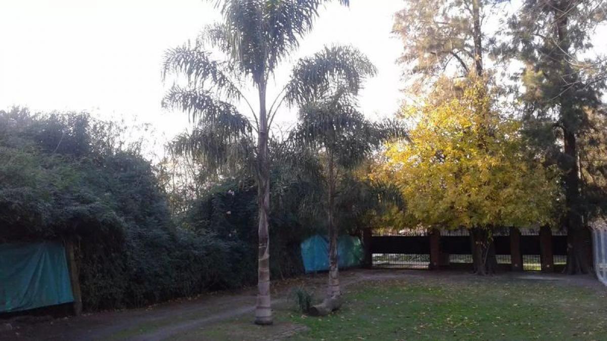 Studio in Ituzaingo, Argentina No. 63506