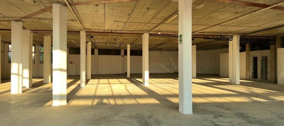 Studio in Taggia, Italy, Nr. 157949 15