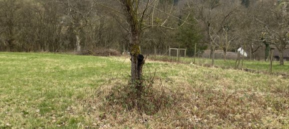  Land in Rems-Murr-Kreis, Germany No. 735 2