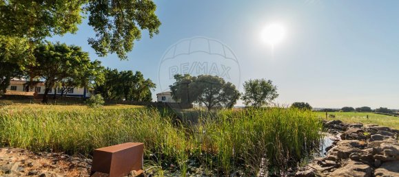 9 bedrooms House in Estremoz, Portugal No. 51216 6