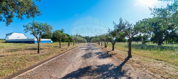 9 bedrooms House in Estremoz, Portugal No. 51216 2