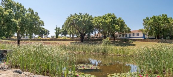 9 bedrooms House in Estremoz, Portugal No. 51216 7