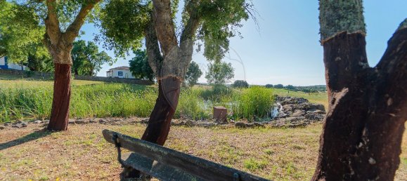 9 bedrooms House in Estremoz, Portugal No. 51216 5