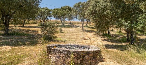 9 bedrooms House in Estremoz, Portugal No. 51216 47