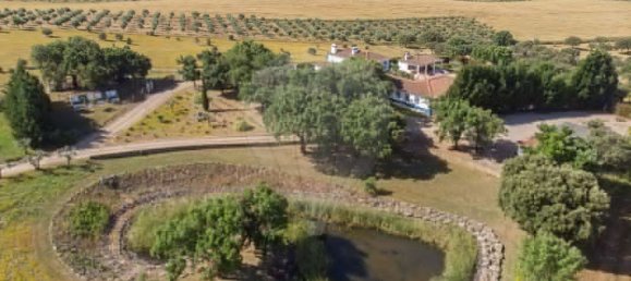 9 bedrooms House in Estremoz, Portugal No. 51216 48