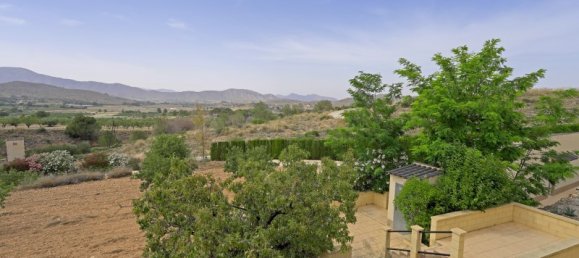 11 bedrooms House in Hondon De Las Nieves, Spain No. 162629 66