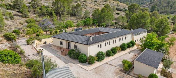 11 bedrooms House in Hondon De Las Nieves, Spain No. 162629 3